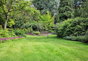 Optimiser l'expérience du jardin à Bethemont-la-Foret